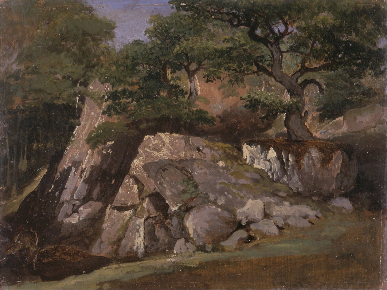 Vista del Valle de las Rocas cerca de Mittlach (Alsacia) de James Arthur OConnor