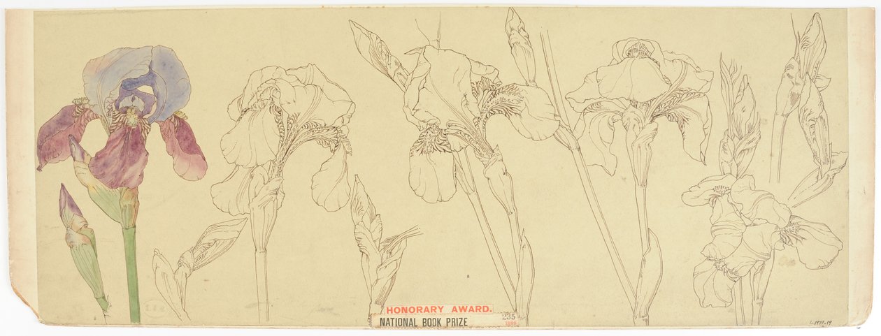 Estudios Botánicos, 1900-30 de James Atherton