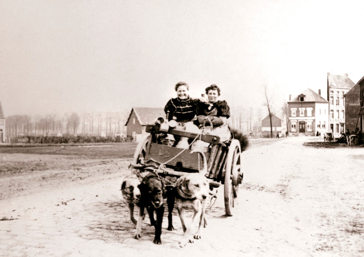 Perros tirando de mujeres en un carro, Amberes, 1898 de James Batkin