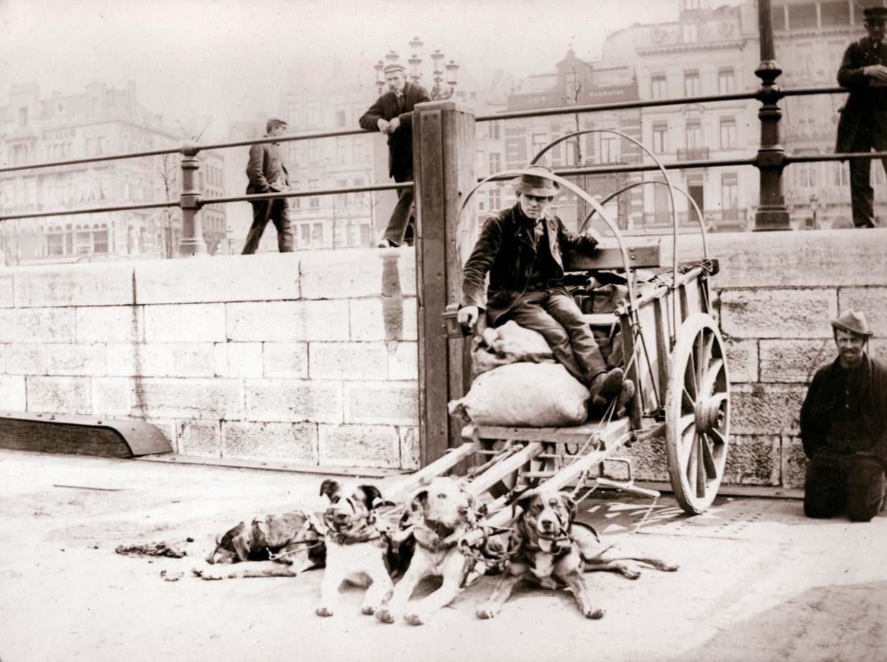 Hombre con carro de perros, Amberes, 1898 de James Batkin