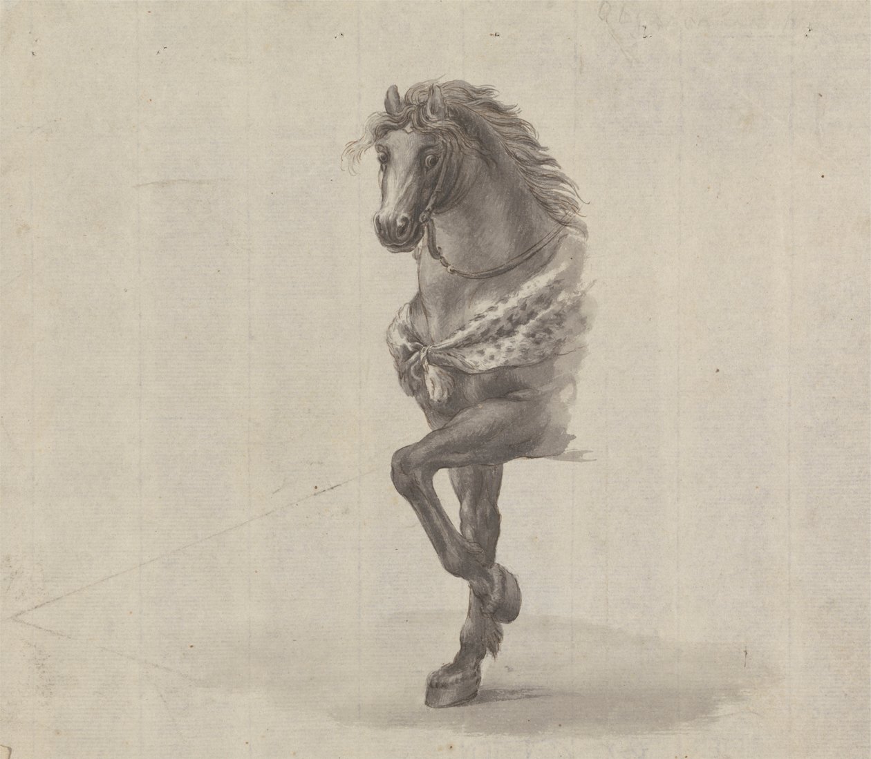 Estudio de la parte delantera de un caballo de James Bruce