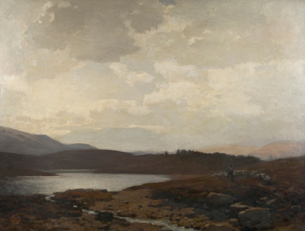 Dinnet Moor de James Cadenhead