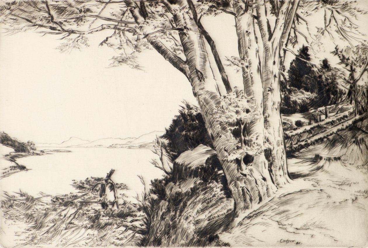 El Haya de James Cadzow