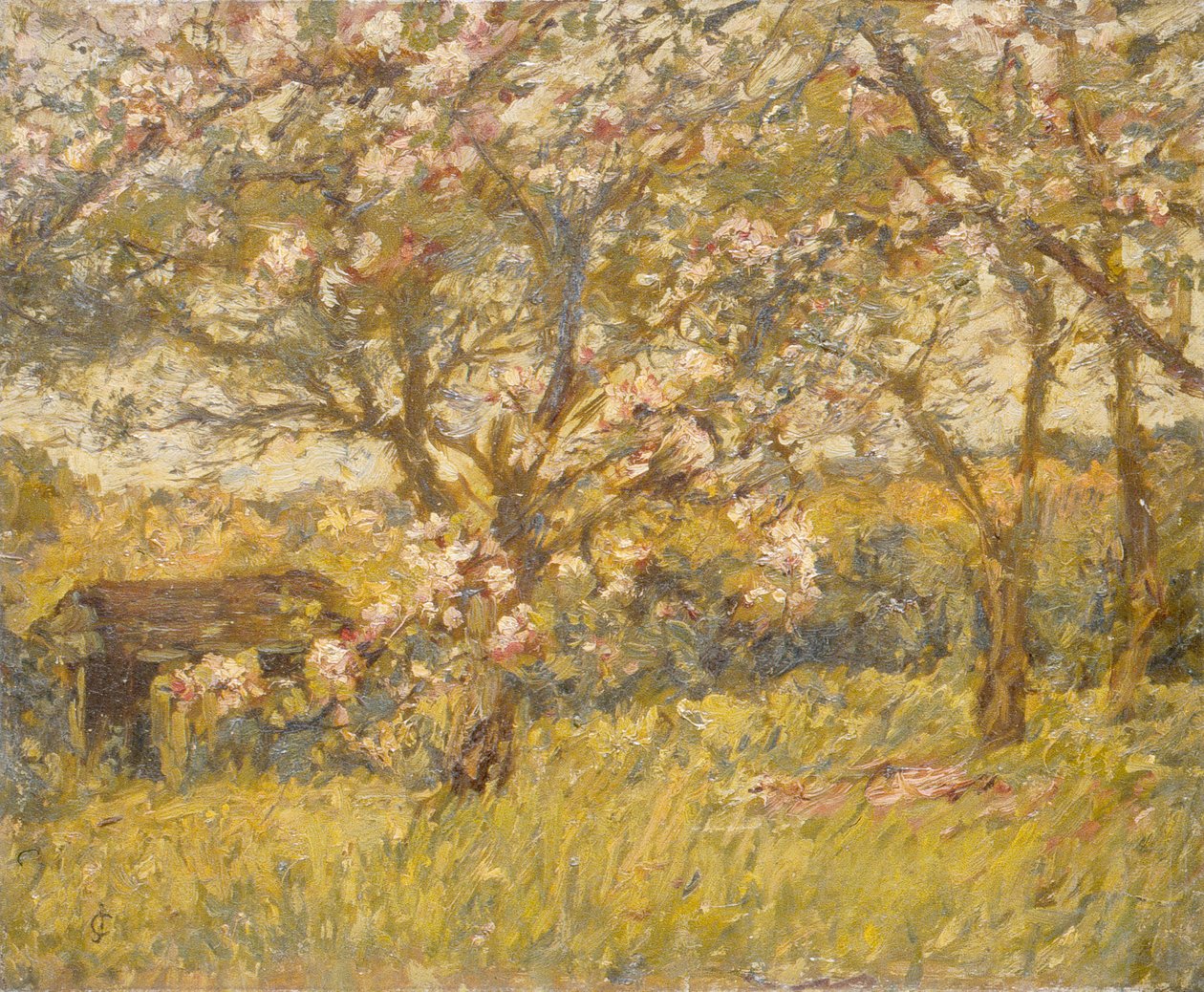 Flor de manzano (óleo sobre lienzo) de James Charles