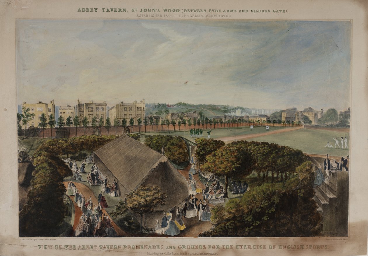 Vista de las terrazas y jardines de la Abadía Taverns, Violet Hill, Marylebone, c.1870 de James D Barnett