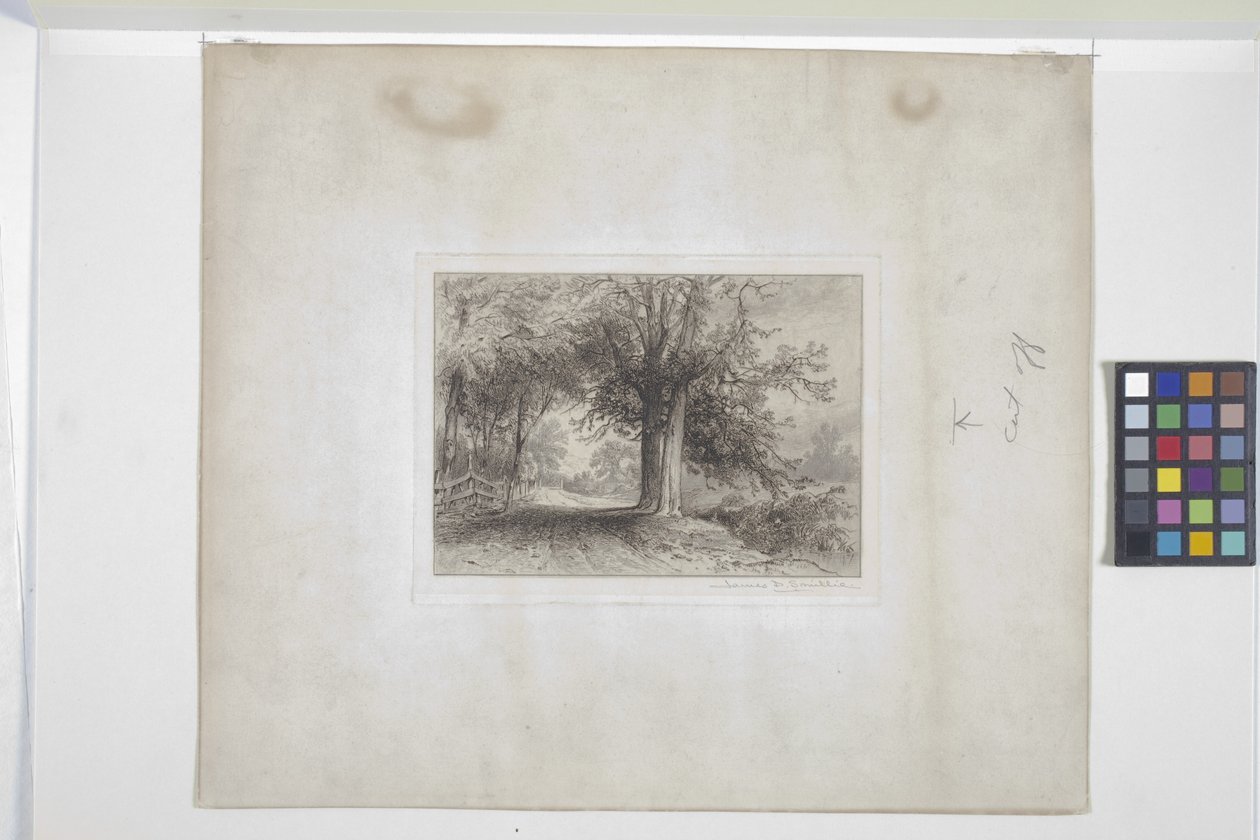 Paisaje (aguafuerte, chine collé) de James David Smillie