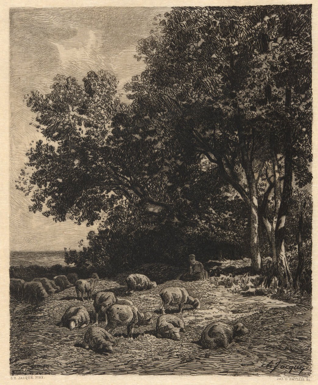 paisaje y ovejas de James David Smillie