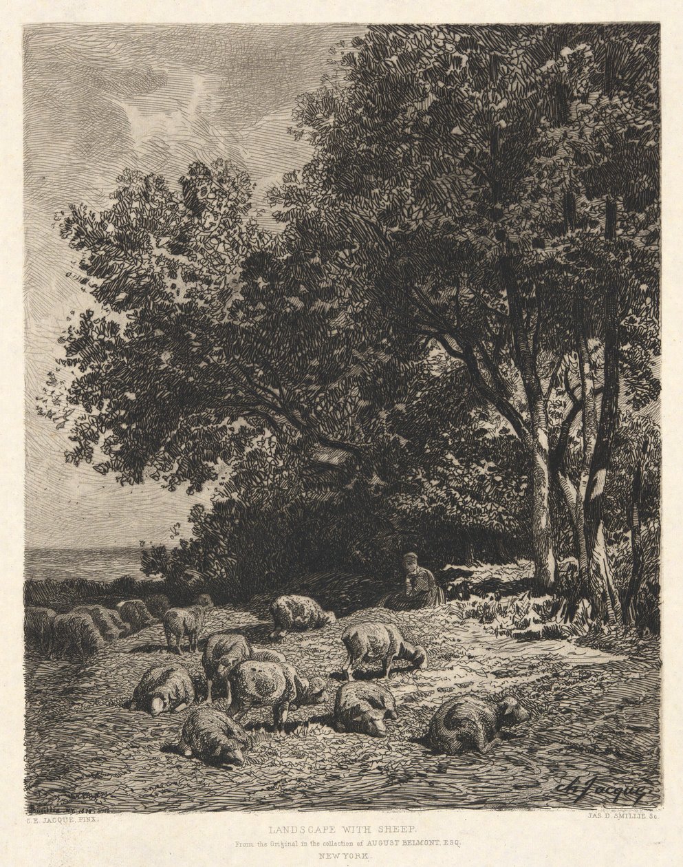 Paisaje con ovejas, después de Ch-Jacque de James David Smillie
