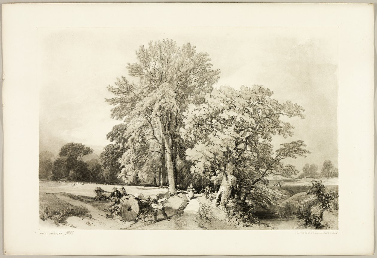 Abele y el roble, de El parque y el bosque de James Duffield Harding