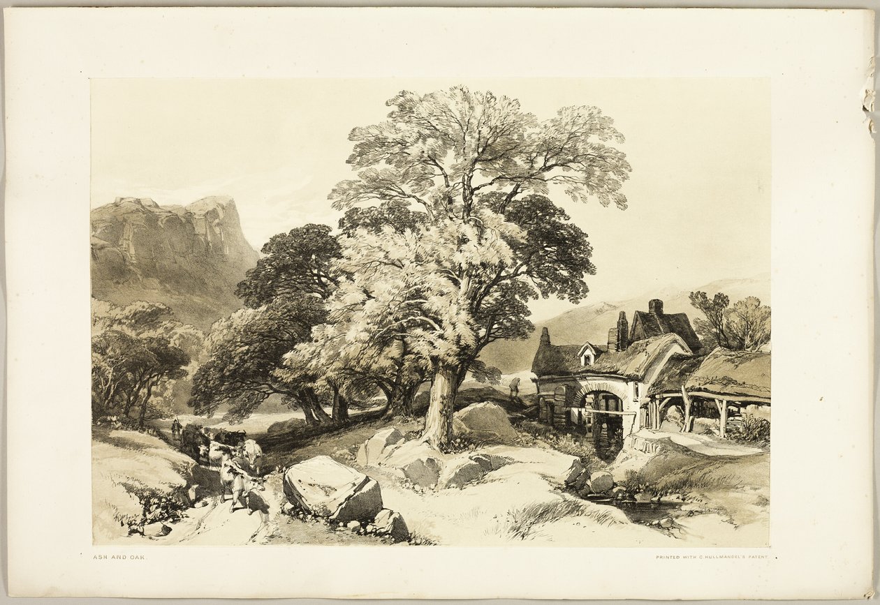 El fresno y el roble, de El parque y el bosque de James Duffield Harding