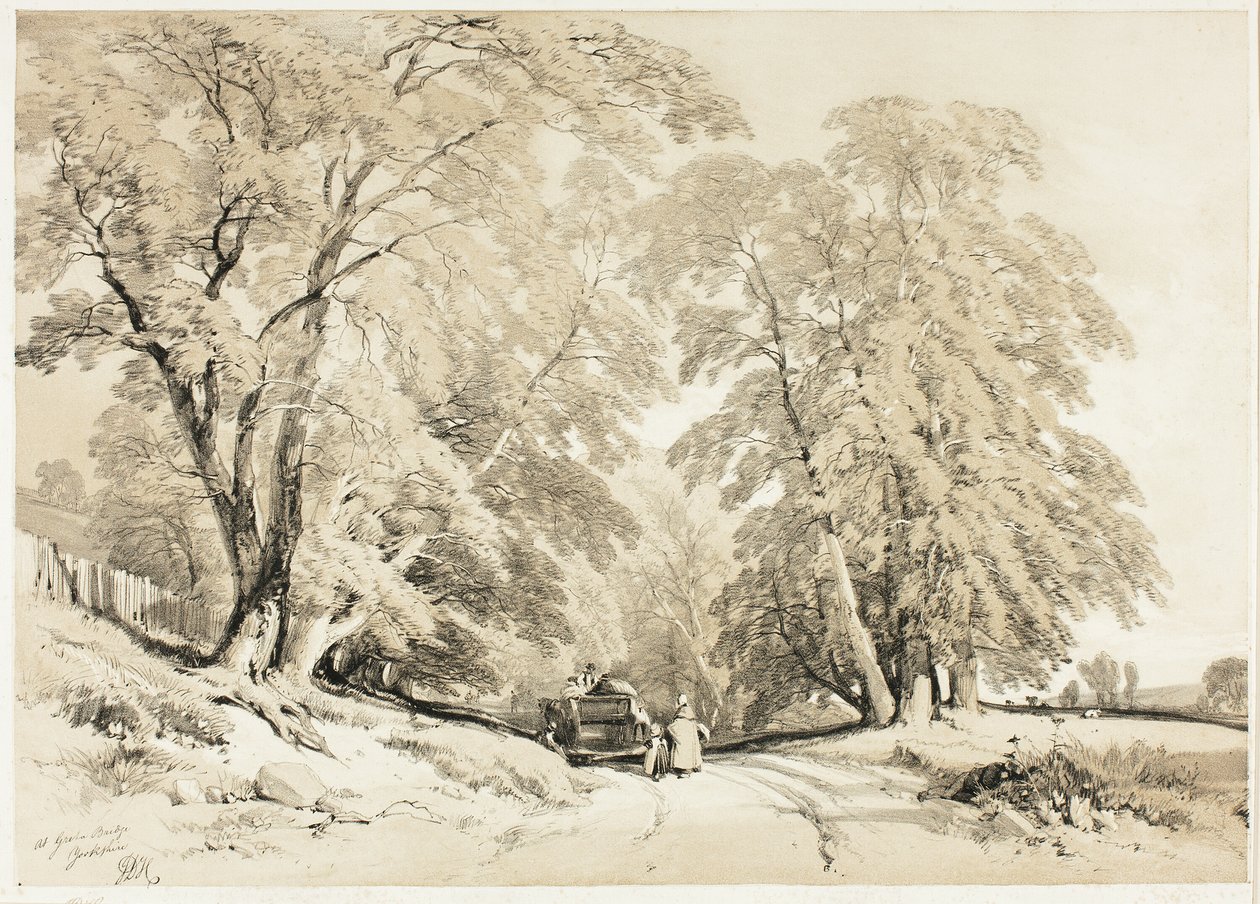 Ceniza, de El parque y el bosque de James Duffield Harding