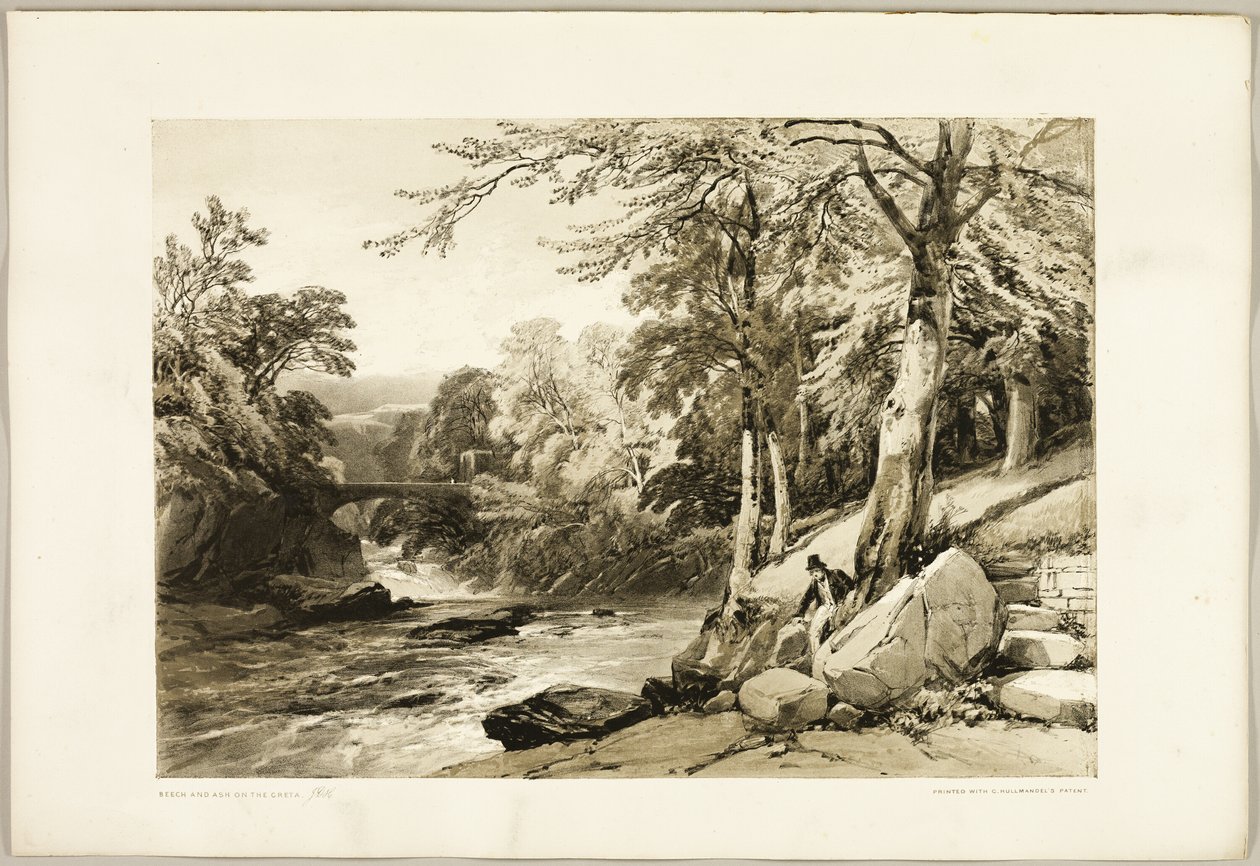 Haya y fresno en el Greta, de El parque y el bosque de James Duffield Harding