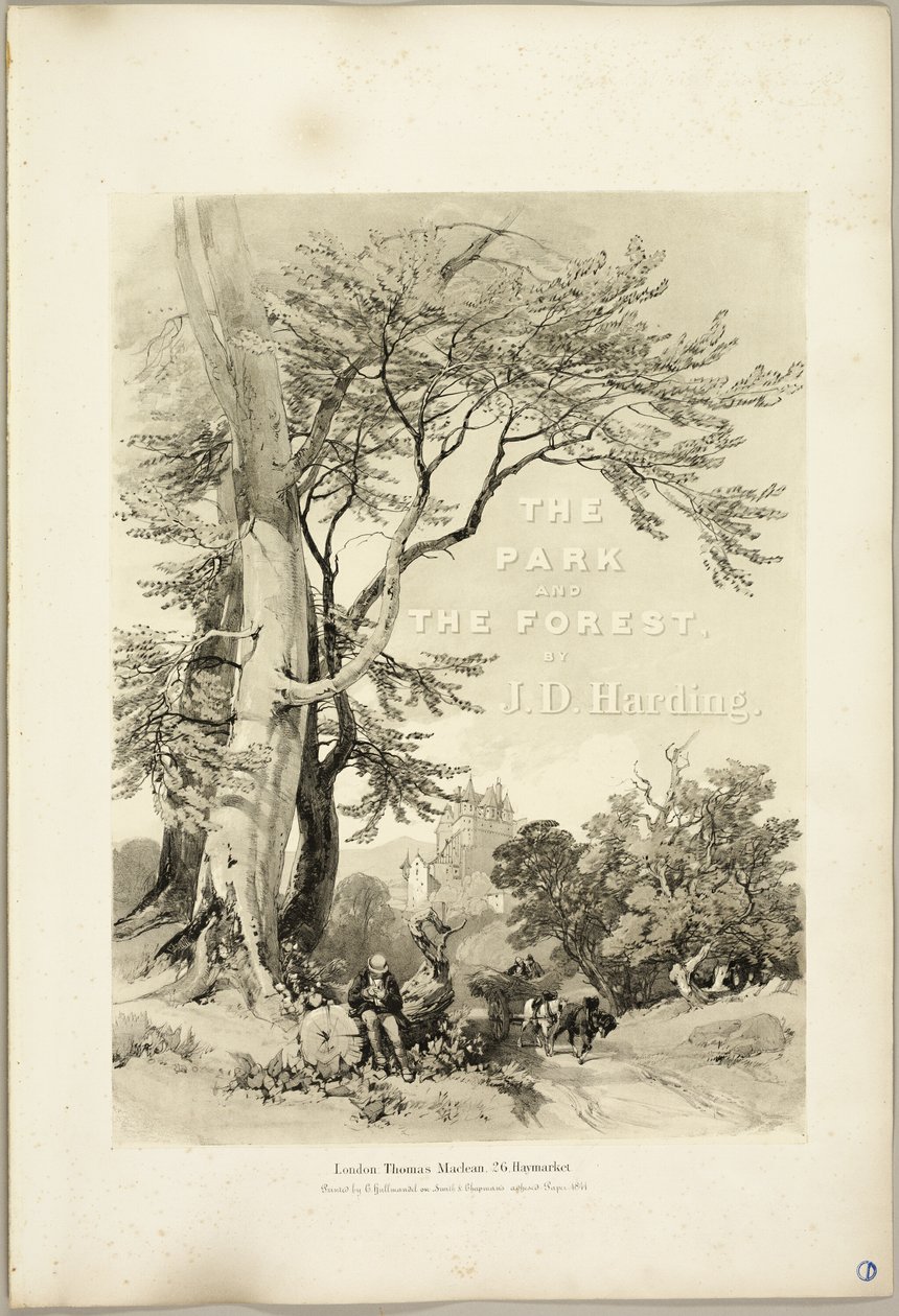 Haya y roble (Frontispicio), de El parque y el bosque de James Duffield Harding