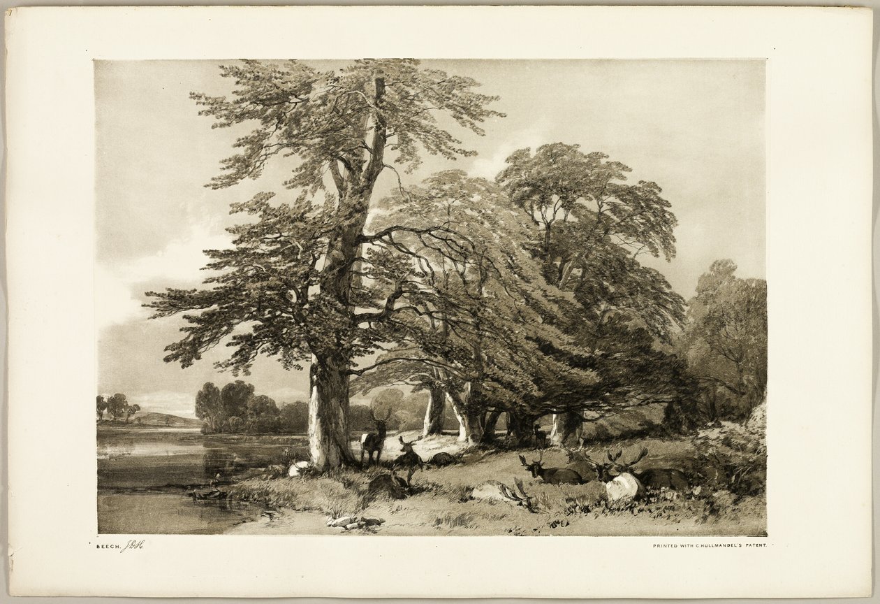 Haya, de El parque y el bosque de James Duffield Harding