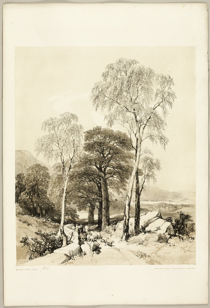 Abedul y roble, de El parque y el bosque de James Duffield Harding
