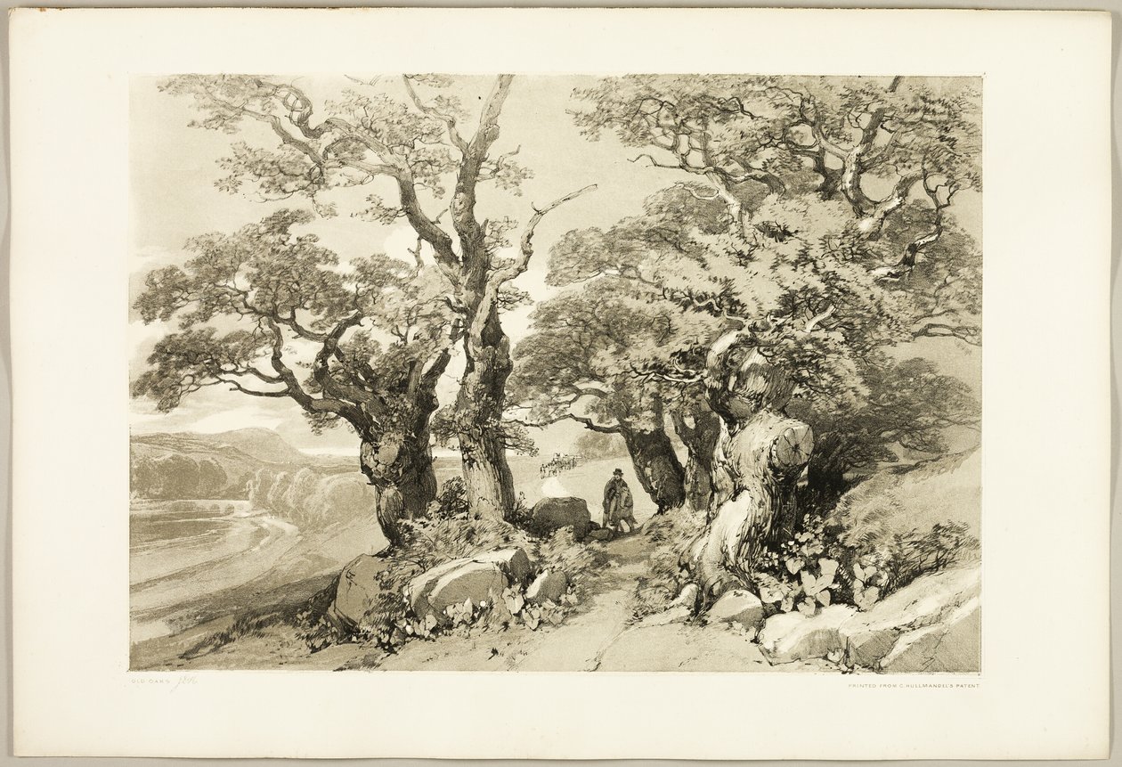 Old Oaks, de The Park and the Forest de James Duffield Harding
