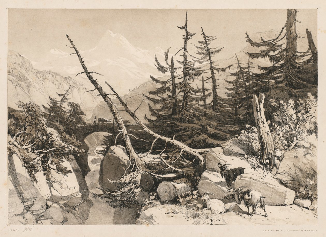 Pinos y Puente, 1841 de James Duffield Harding