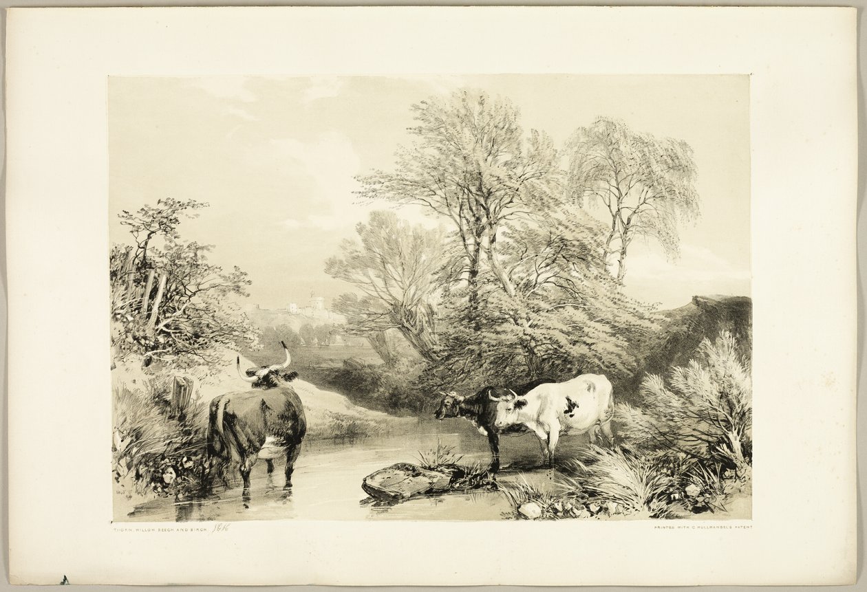 Espino, sauce, haya y abedul, de El parque y el bosque de James Duffield Harding