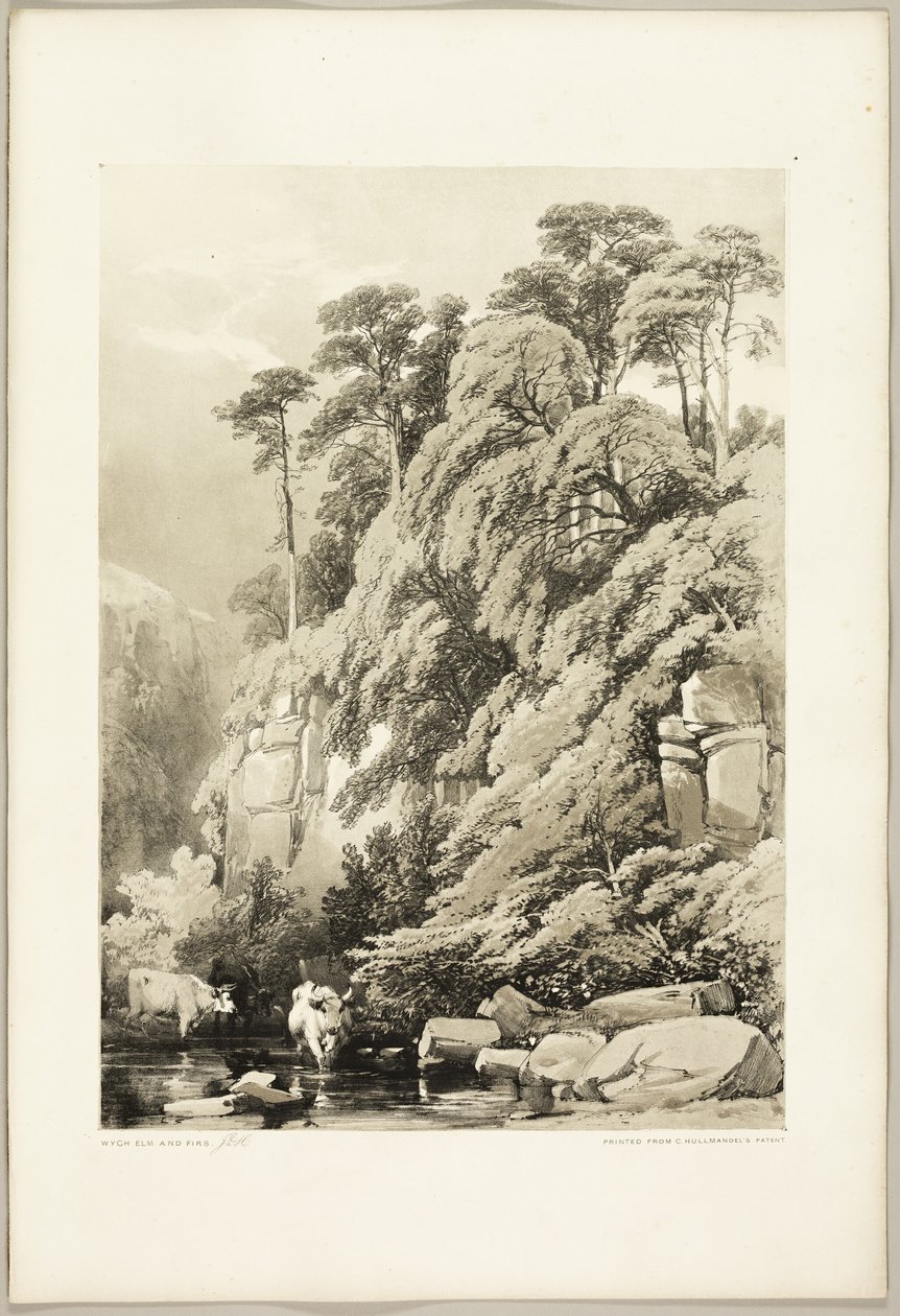 Olmo y abetos, de El Parque y el Bosque de James Duffield Harding