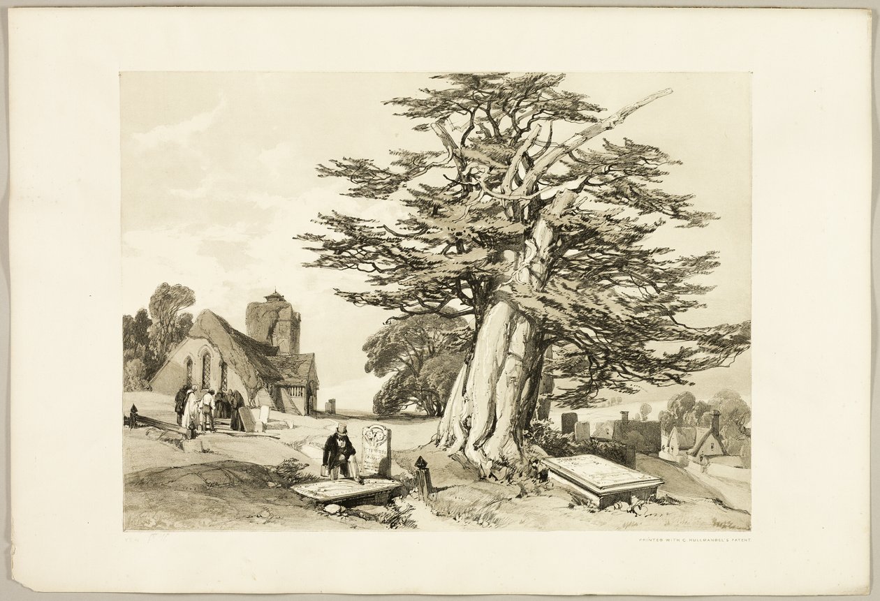 Tejo, del Parque y el Bosque de James Duffield Harding