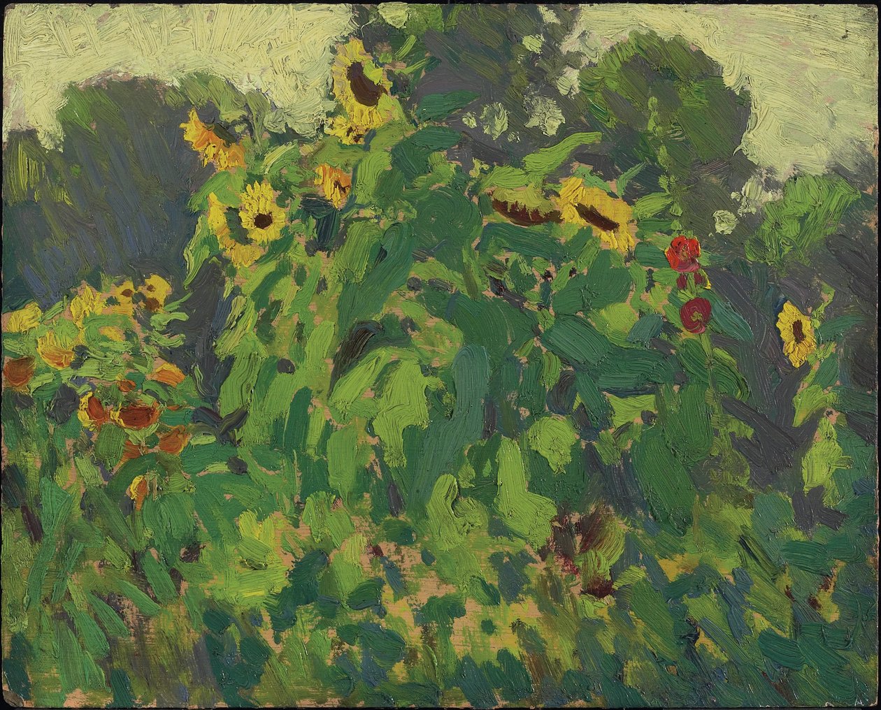 Girasoles, Thornhill, 1916 de James Edward Hervey Macdonald