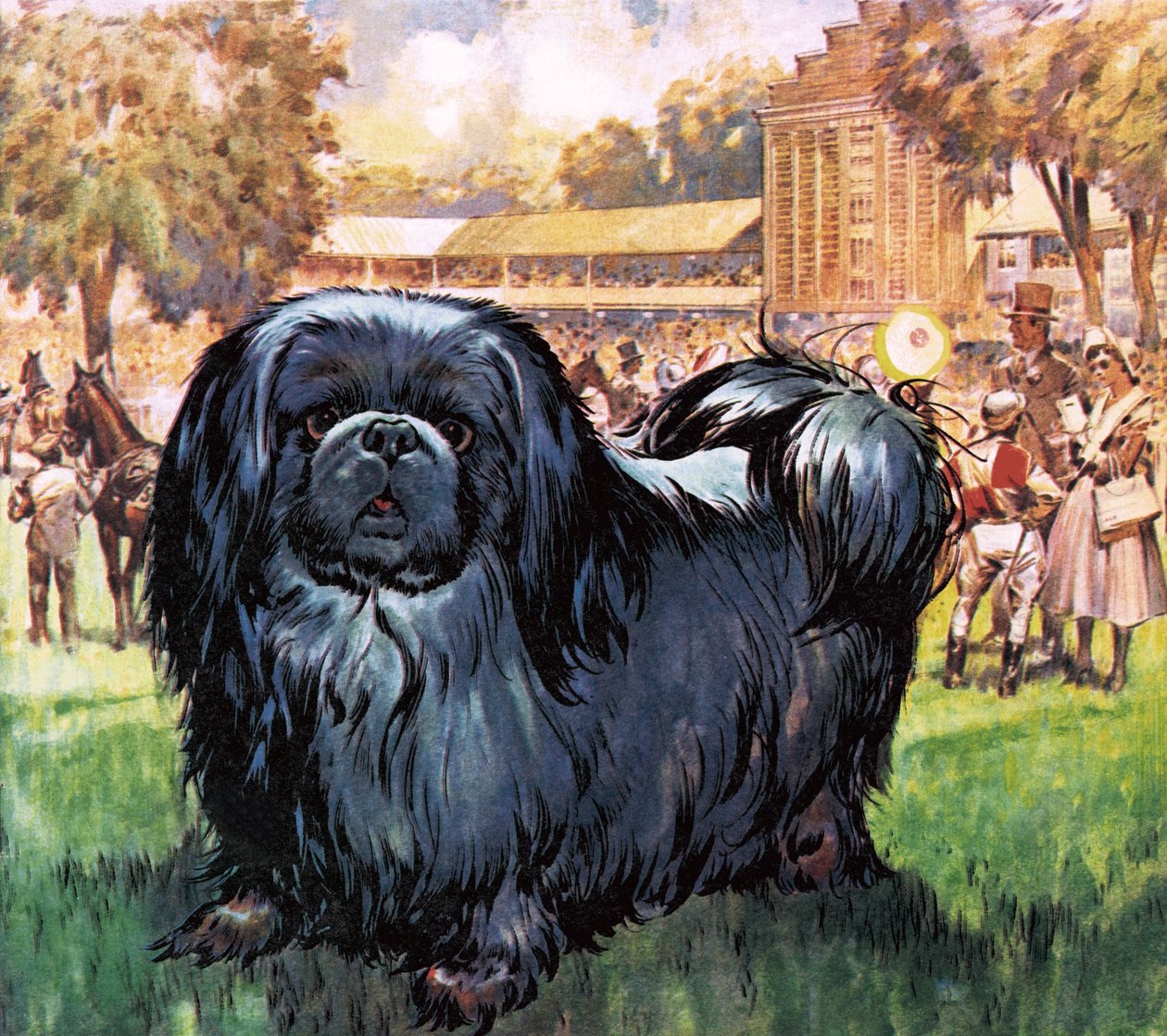 Caballero Negro. El perro pequinés propiedad del artista Sir Alfred Munnings. de James Edwin McConnell
