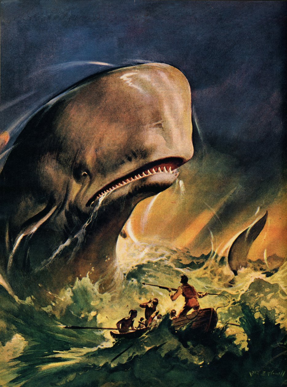 Moby Dick (litografía en color) de James Edwin McConnell