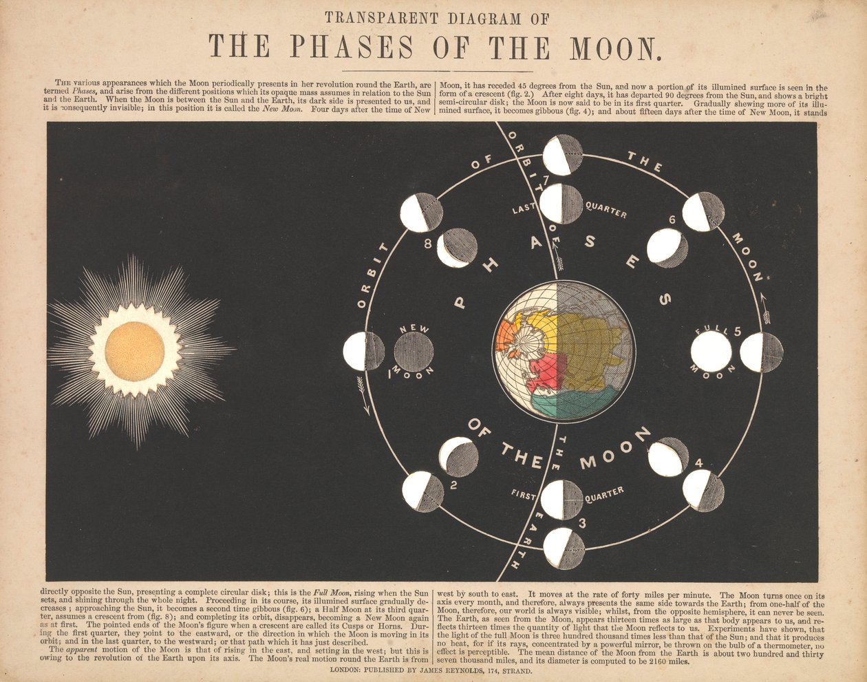 Diagrama transparente de las fases de la luna de James & Emslie John (1813 75) Reynolds