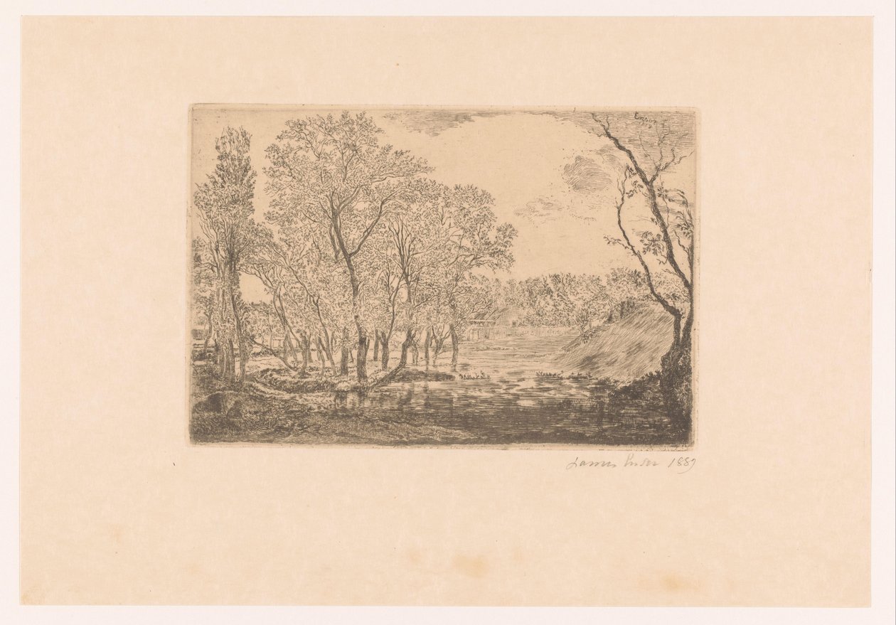 Paisaje con álamos frente al mar
La mare aux peupliers de James Ensor