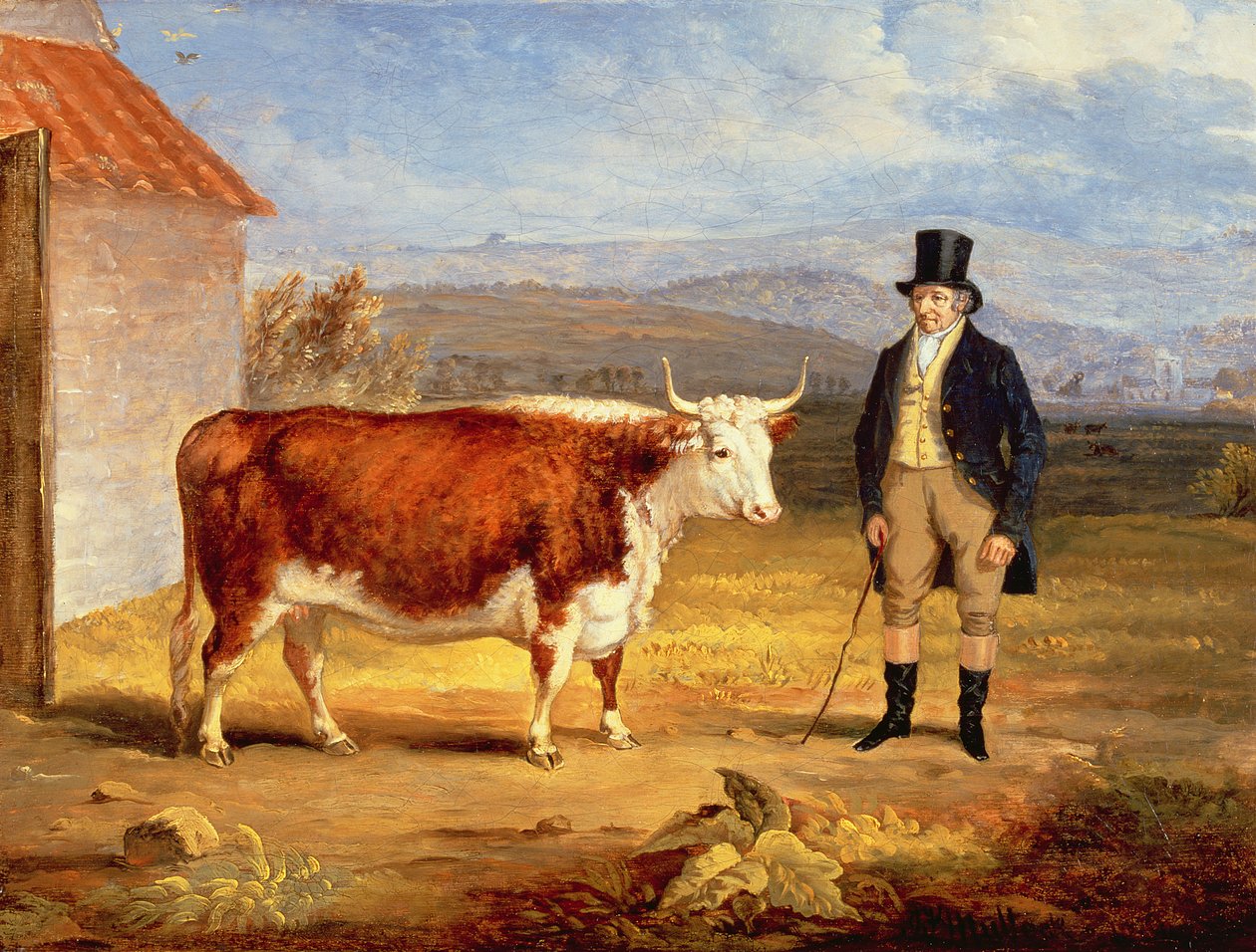 El Sr. James Hodges y su novilla Hereford de dos años, c.1843 de James Flewitt Mullock