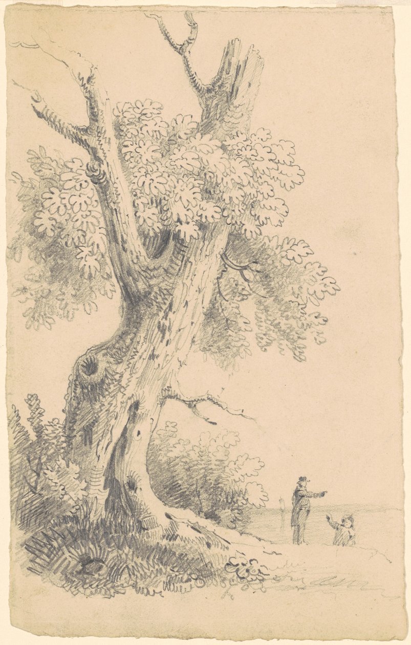 Árbol cerca de la orilla de James Goodwyn Clonney