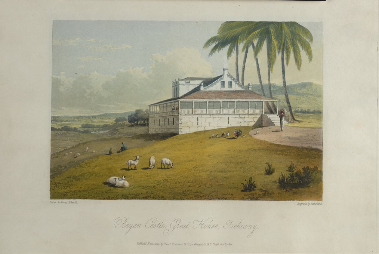 Bryan Castle, ilustración de 