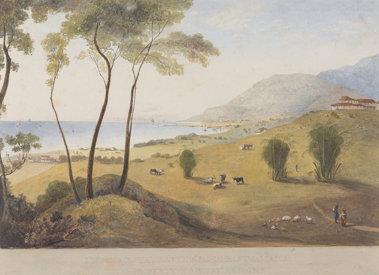 Lyssons Estate, Santo Tomás del Este, Jamaica de James Hakewill