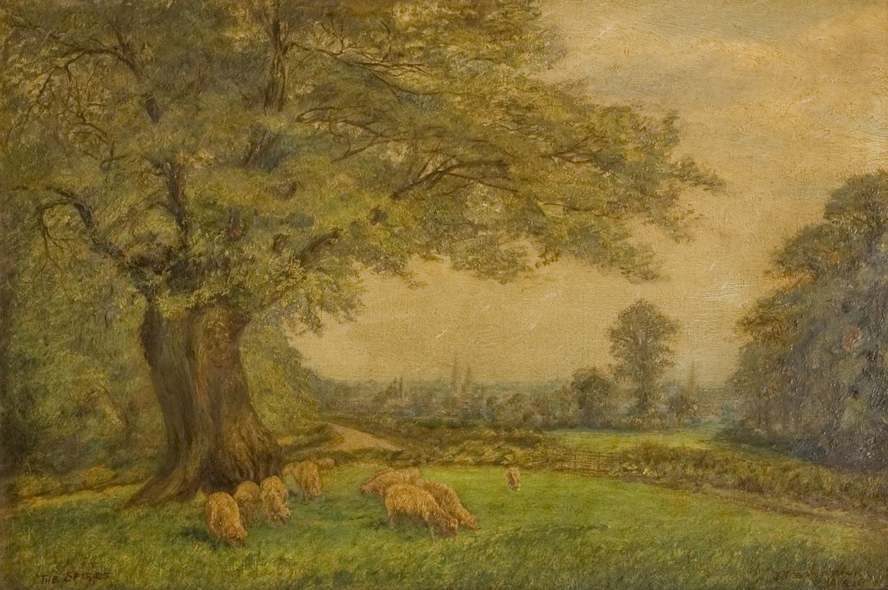 Las agujas de Coventry desde lejos de James Henry Bambrick