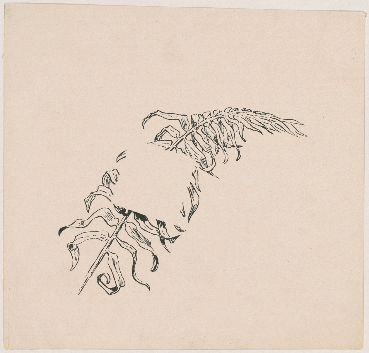 Rama de James Henry Moser