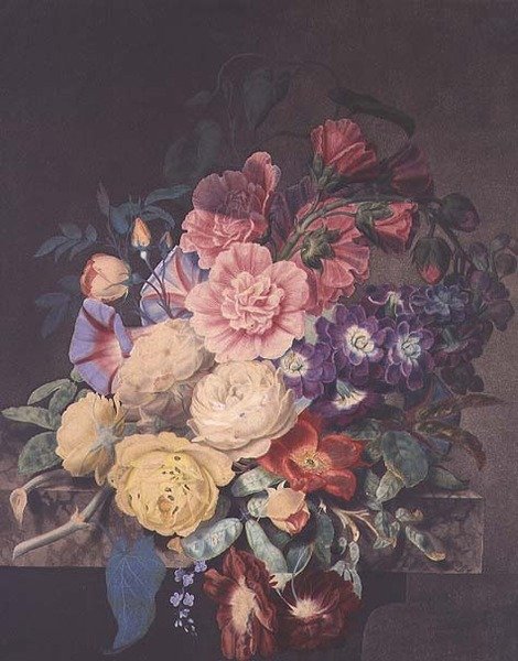 Malvarrosas y rosas de James Hewlett