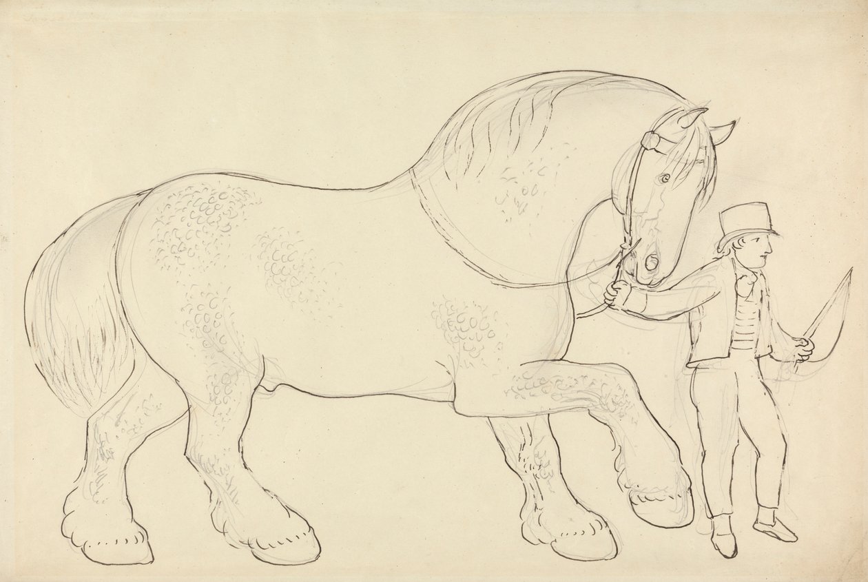 Caballo de carreta guiado de James Howe