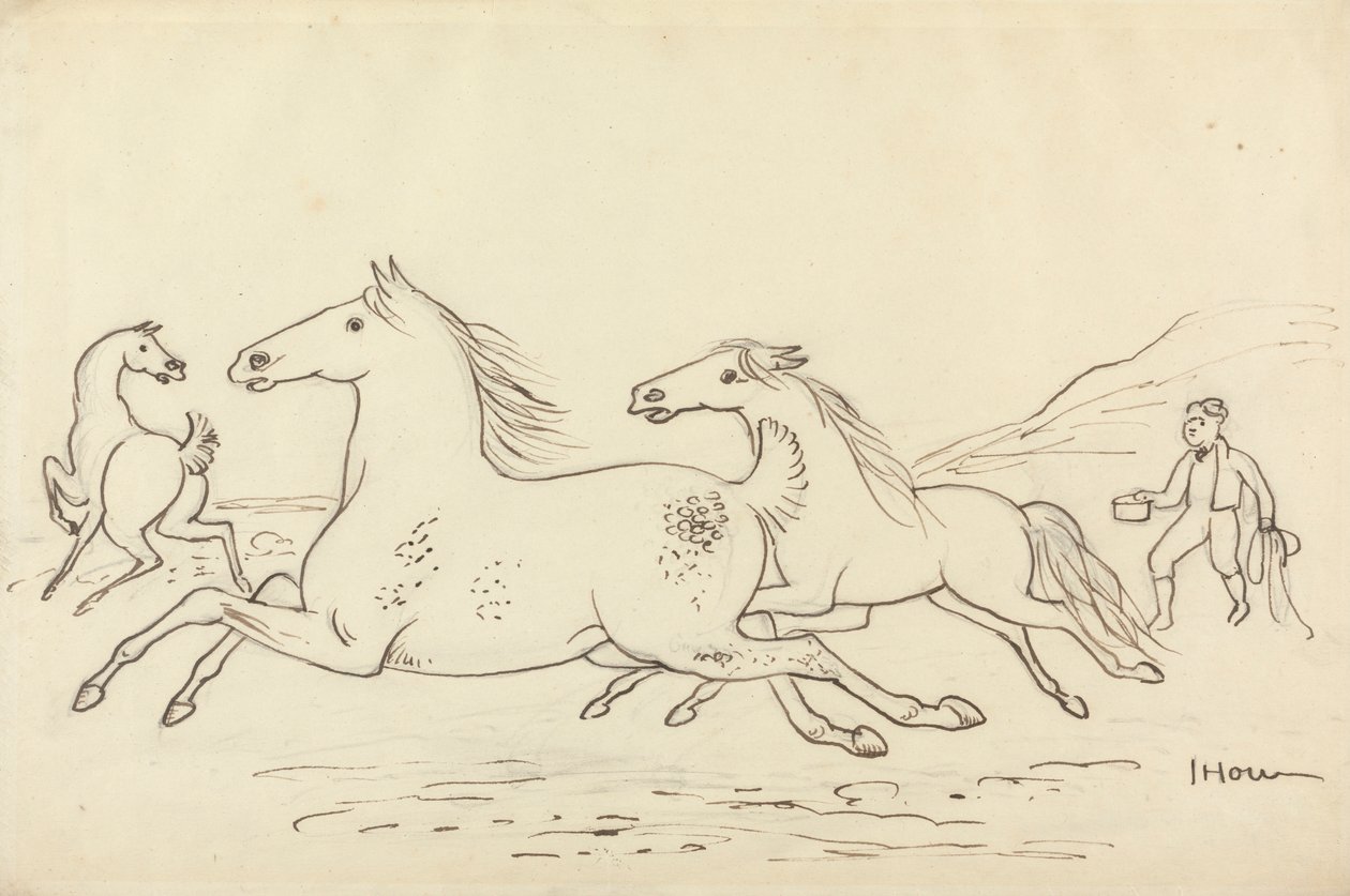 Tres caballos y un mozo de cuadra de James Howe