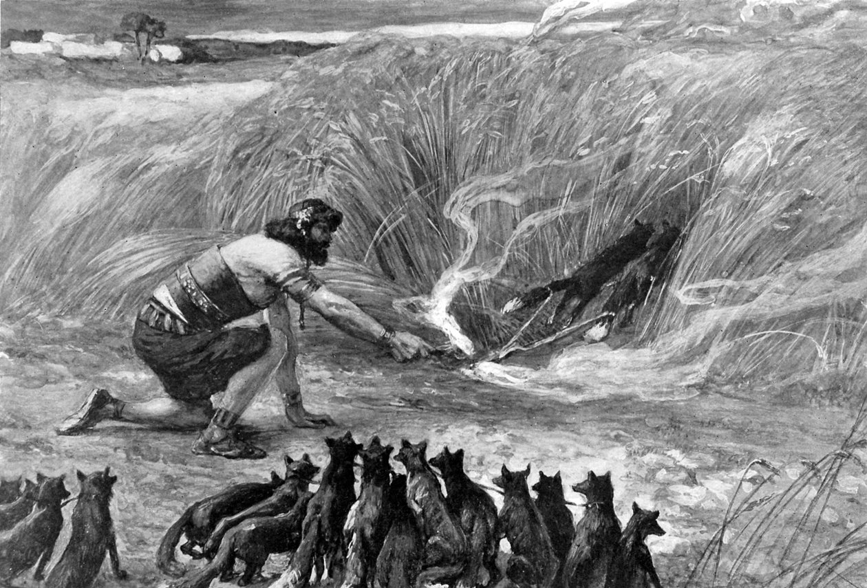 Sansón y los zorros - Biblia de James Jacques Joseph (after) Tissot