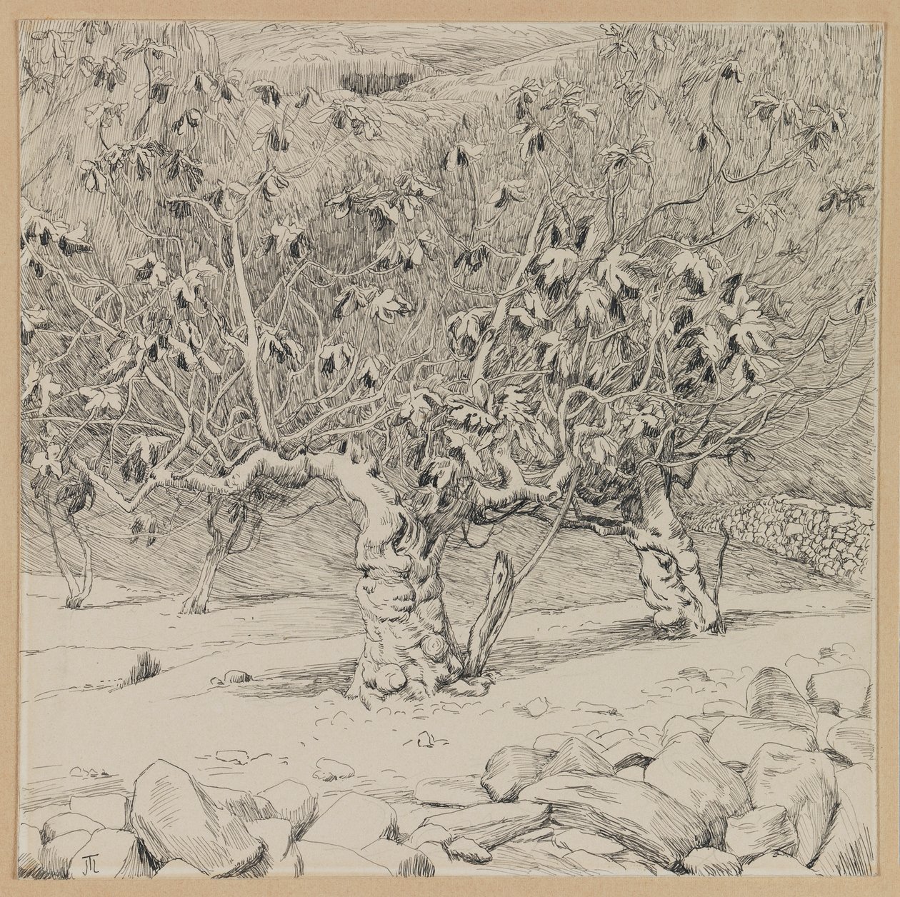 Higuera, Valle de Hinnom, ilustración de La Vida de Nuestro Señor Jesucristo de James Jacques Joseph Tissot
