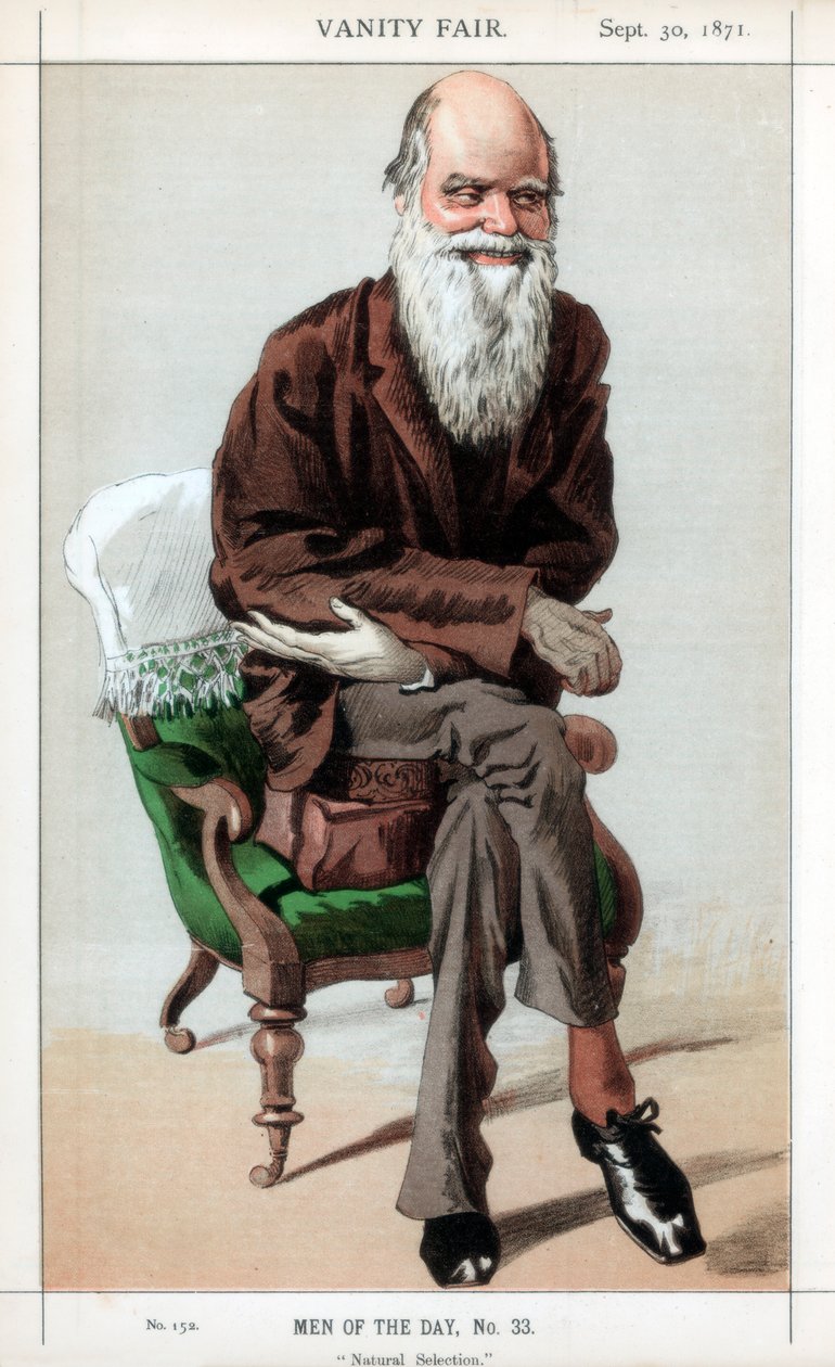 Selección natural, 1871 de James Jacques Joseph Tissot