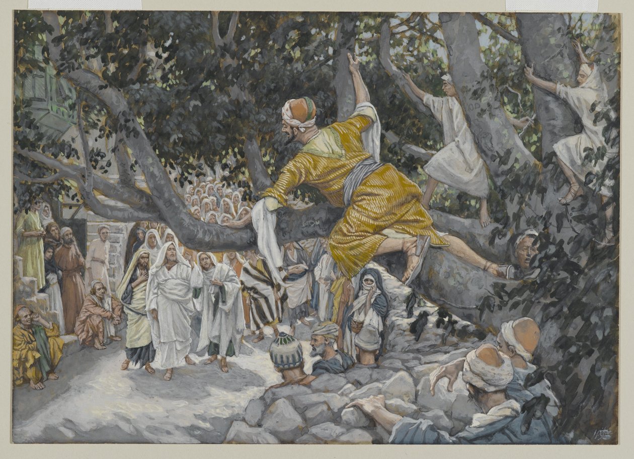 Zaqueo en el sicómoro esperando el paso de Jesús, ilustración de La vida de nuestro Señor Jesucristo, 1886-96 de James Jacques Joseph Tissot