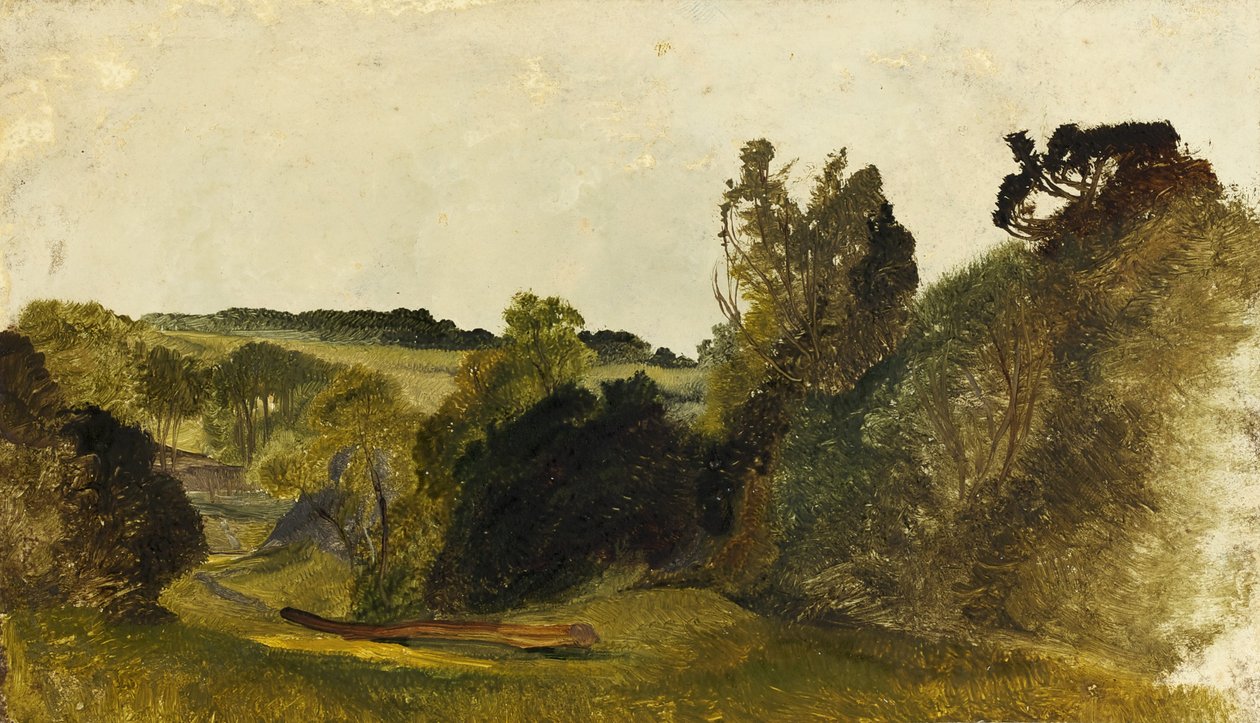 Leigh Wood de James Johnson