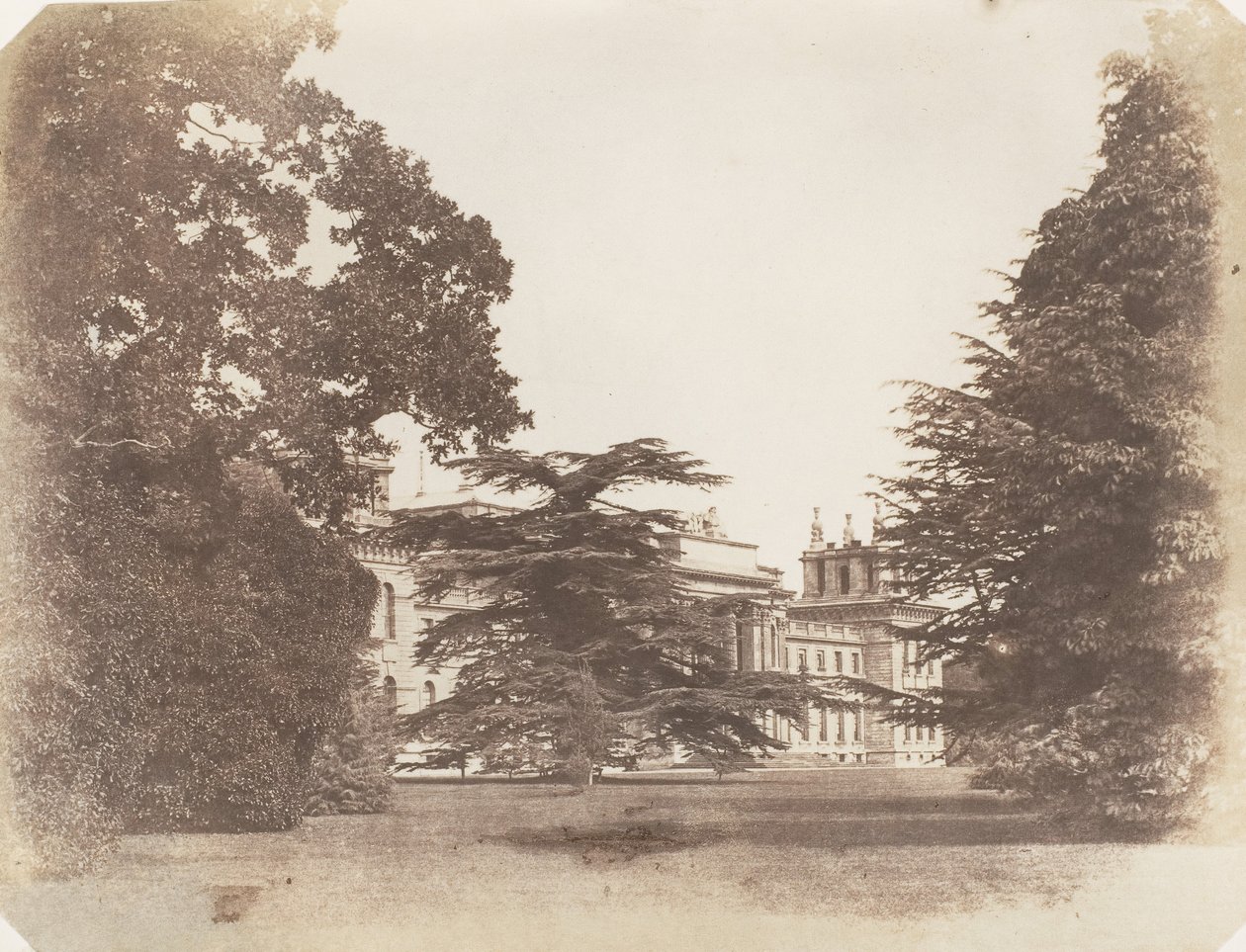Blenheim de James Knight