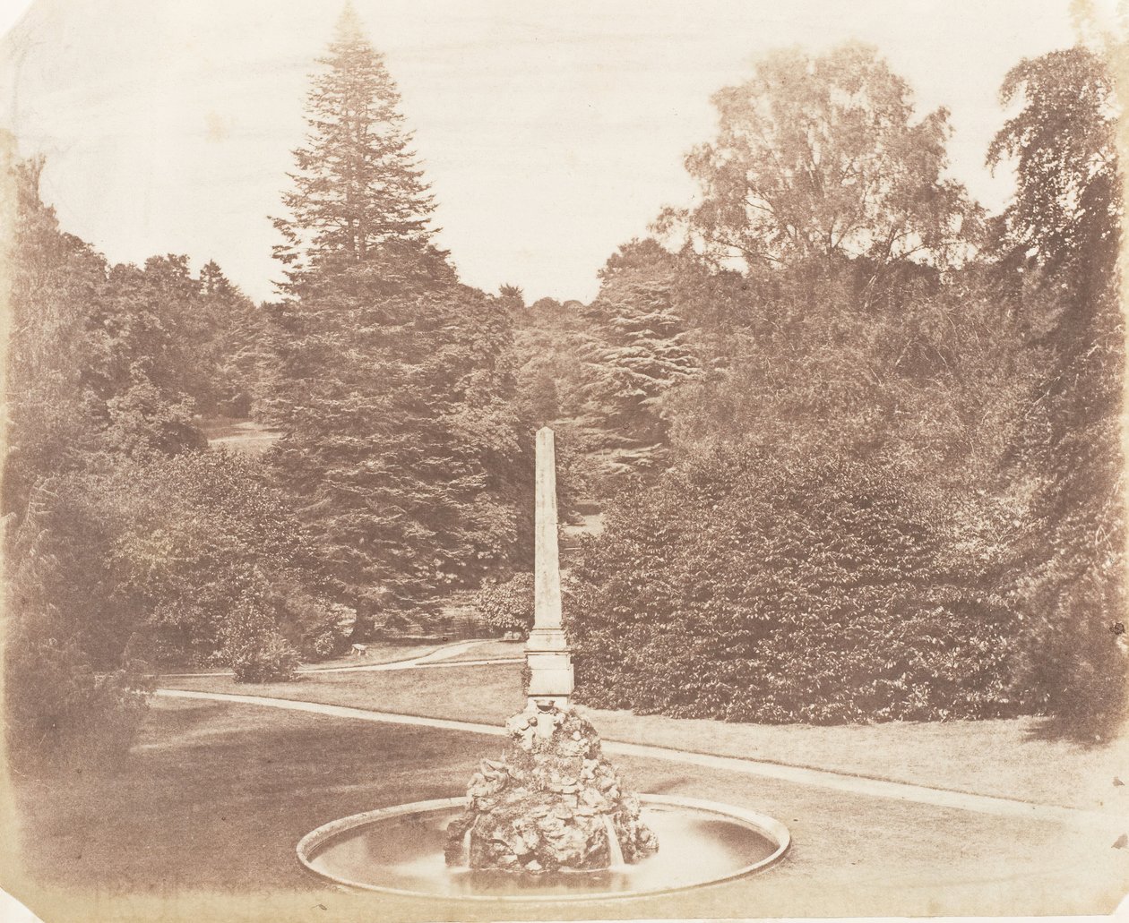 En el jardín. Blenheim de James Knight