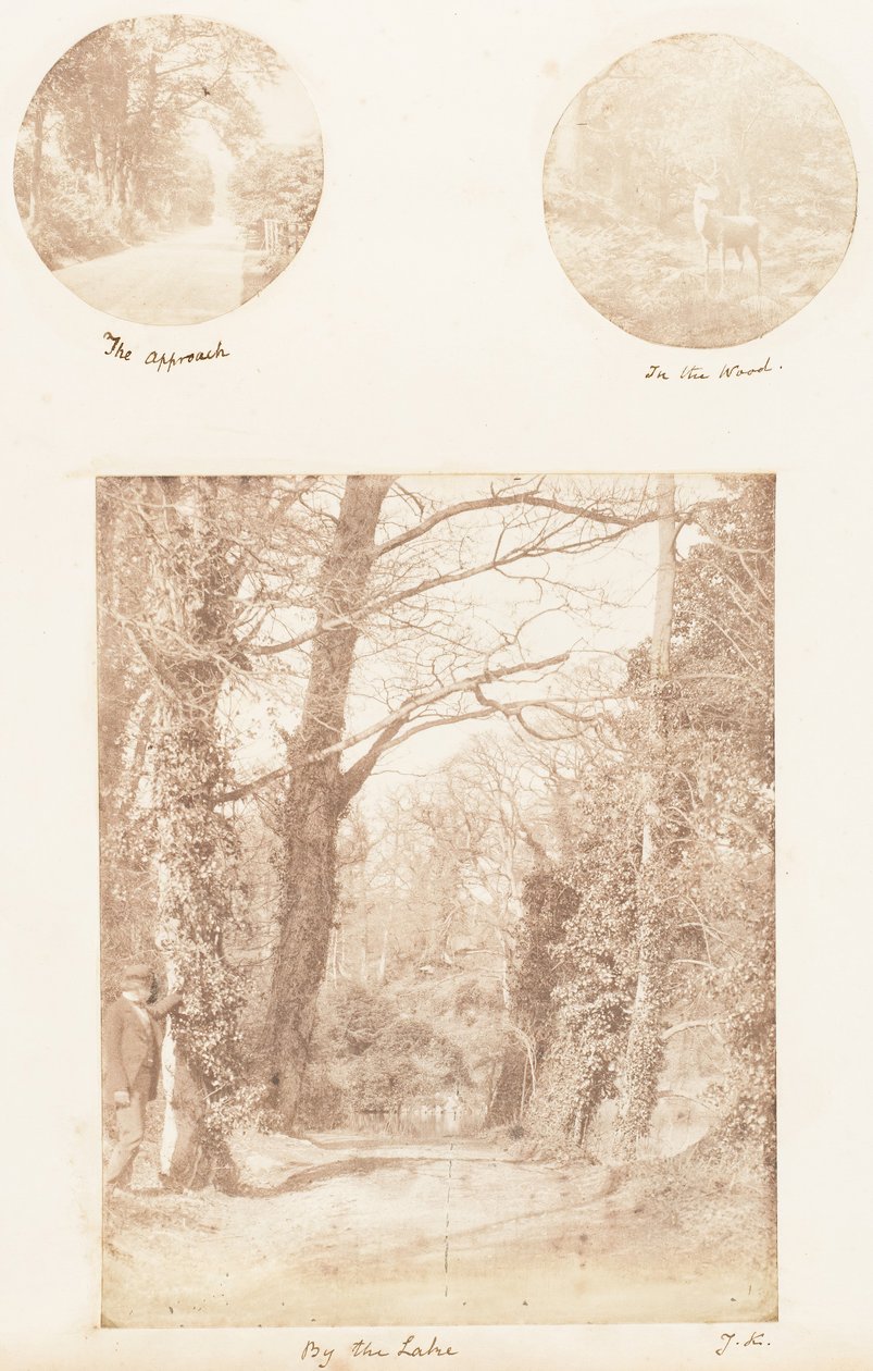 El enfoque, en el bosque, junto al lago, 1853-56 de James Knight
