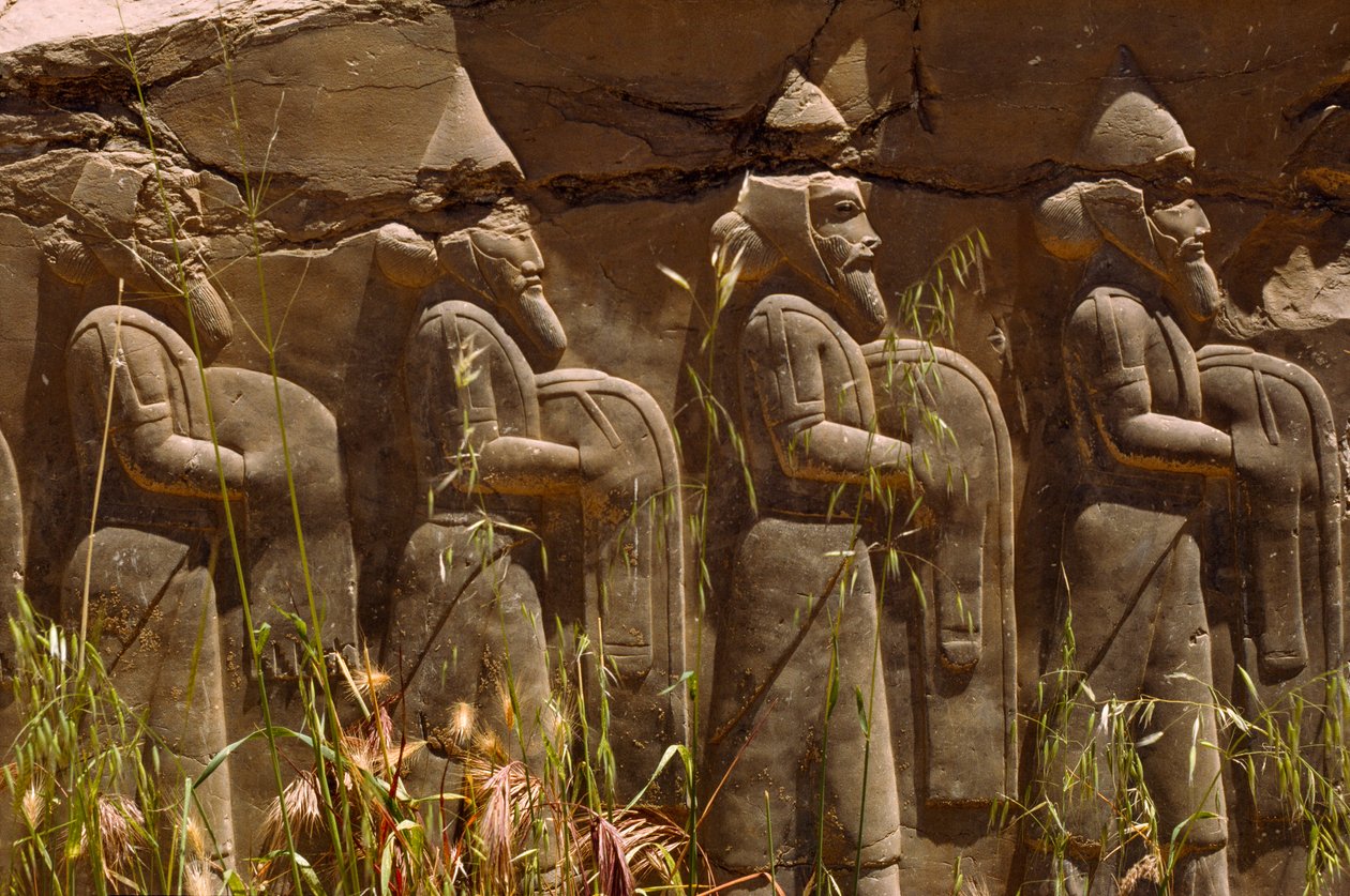 Bajorrelieve de antiguos guerreros persas a la entrada de Persépolis. Persépolis, Irán. de James L Stanfield