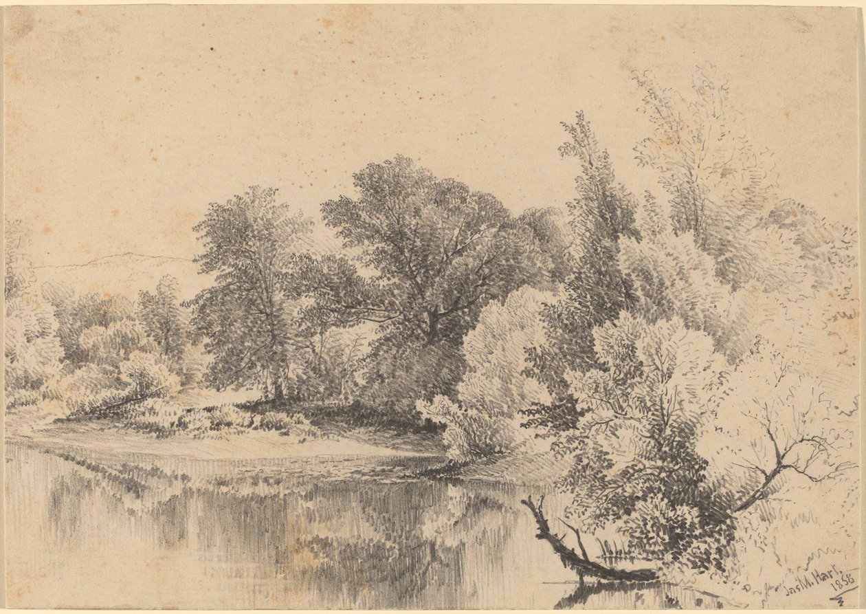 Orilla del estanque de James McDougal Hart