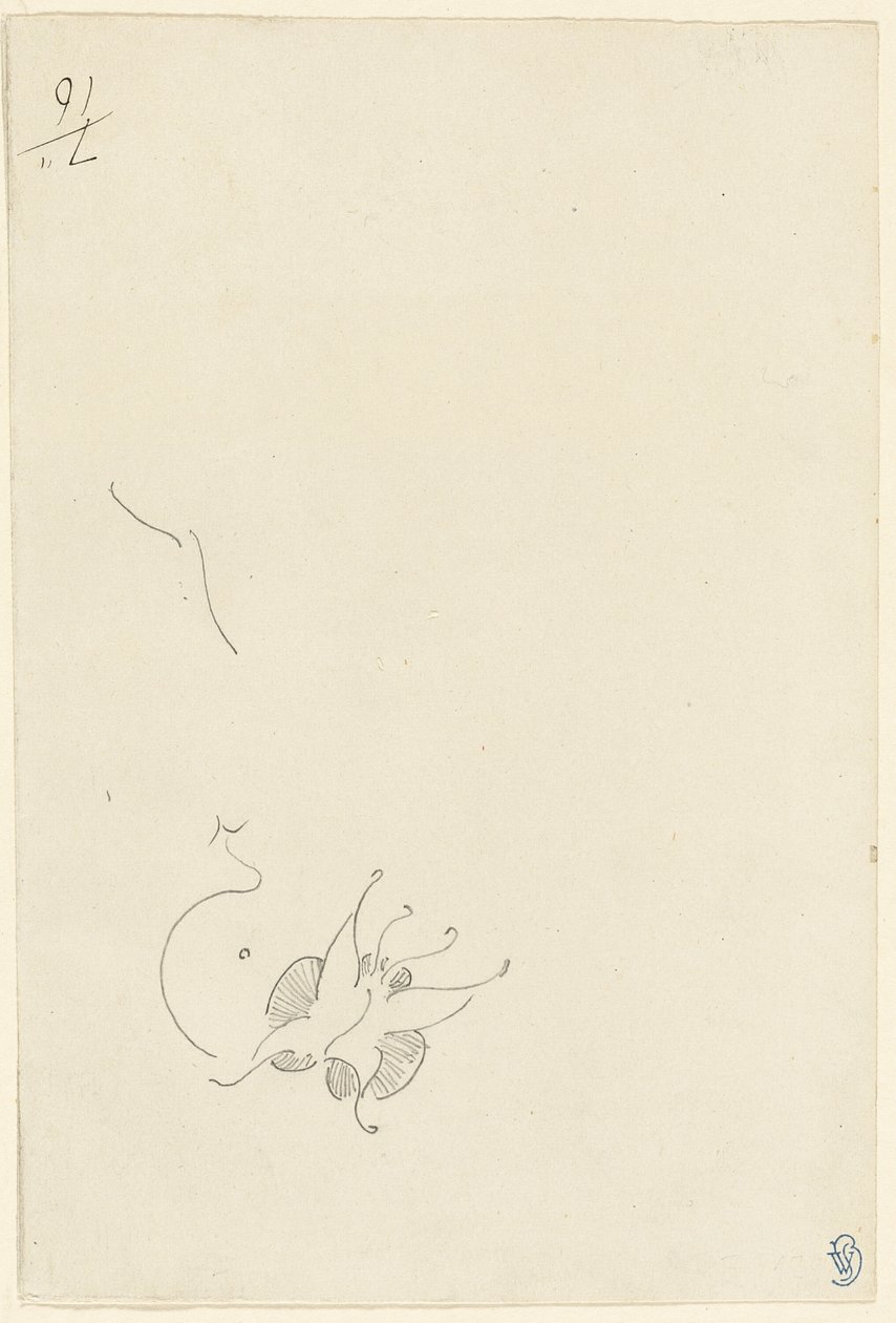 Mariposa de James Abbott McNeill Whistler