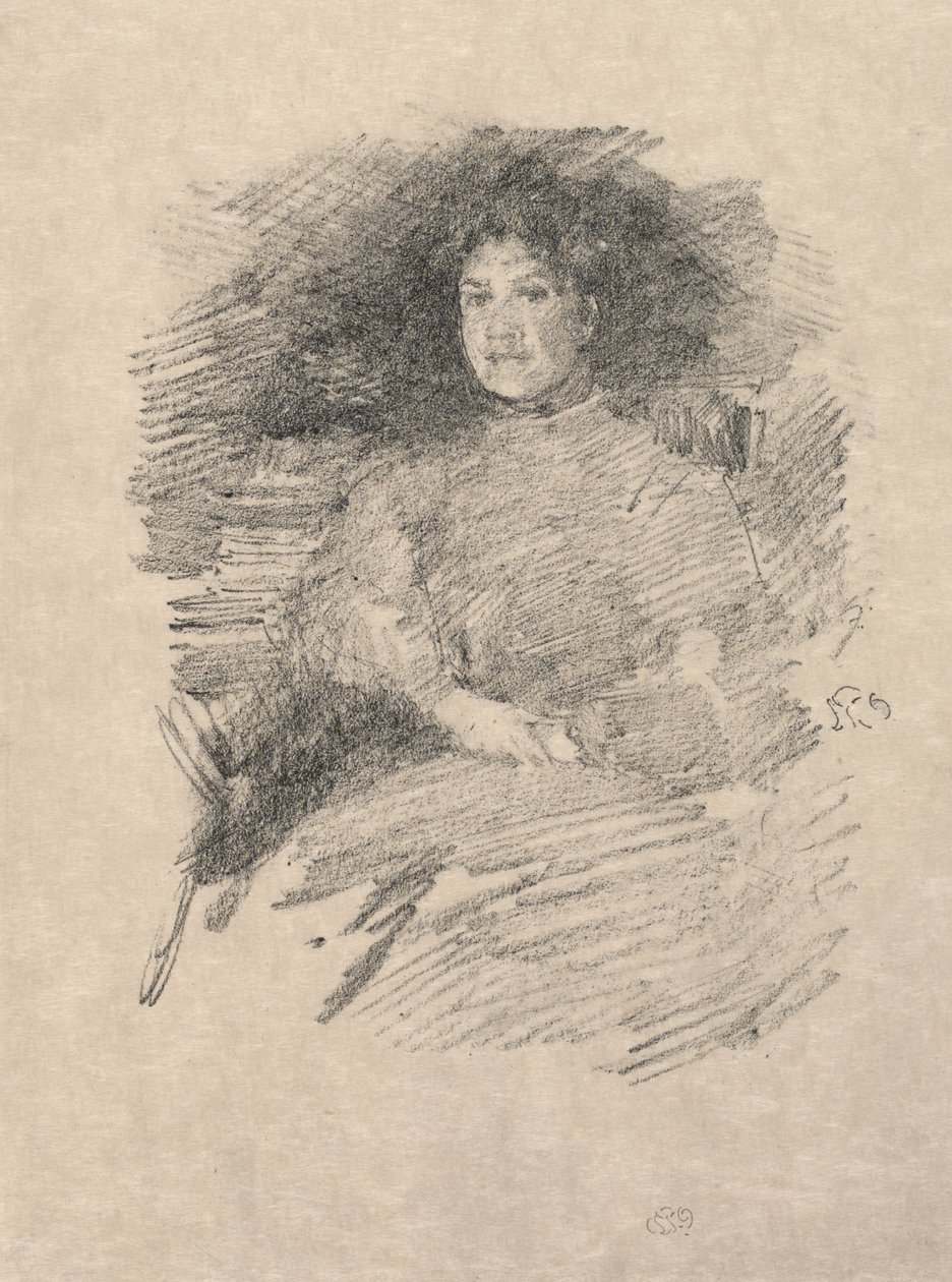 Firelight (la Sra. Pennell) de James McNeill Whistler